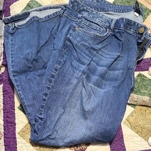Lane Bryant Blue Straight Leg Jeans